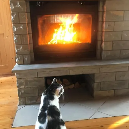 Merejussi Puhkemajad