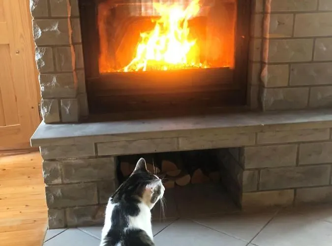 Merejussi Puhkemajad